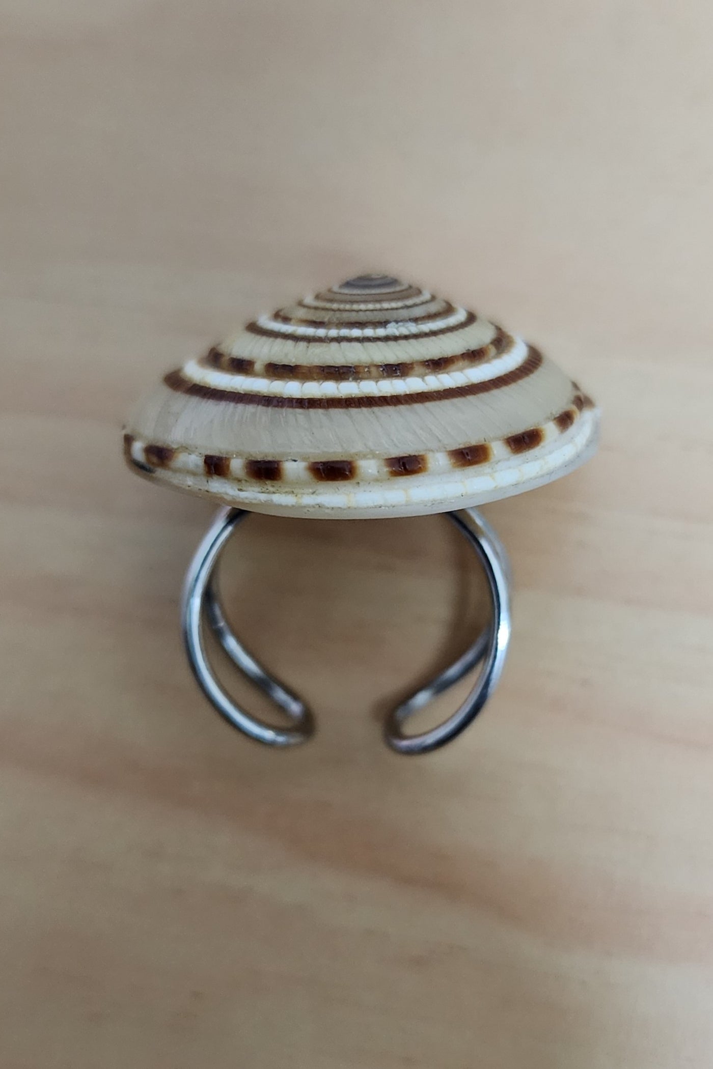 Nautilus Shell Ring