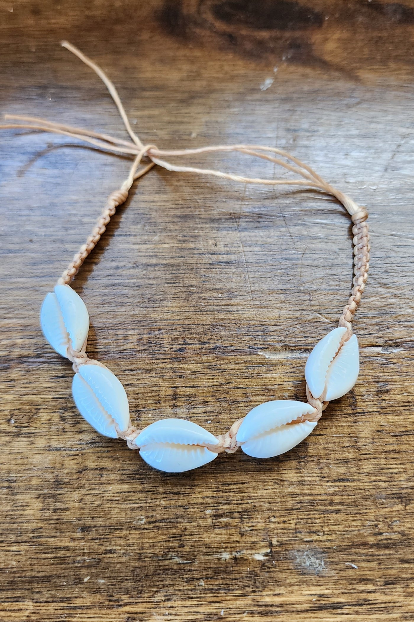 Shell Bracelet